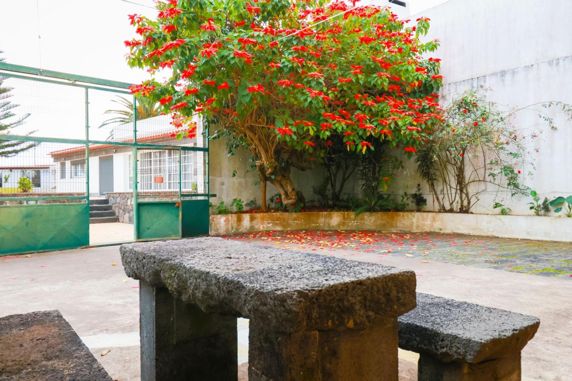 Casa Barao Das Laranjeiras Ponta Delgada Exterior foto